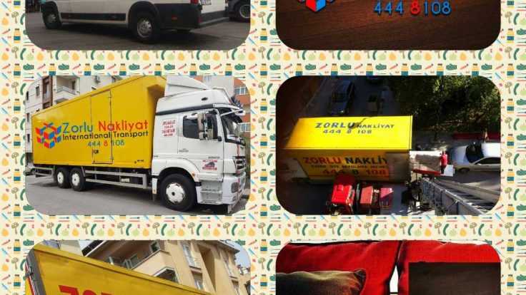 International Movers 